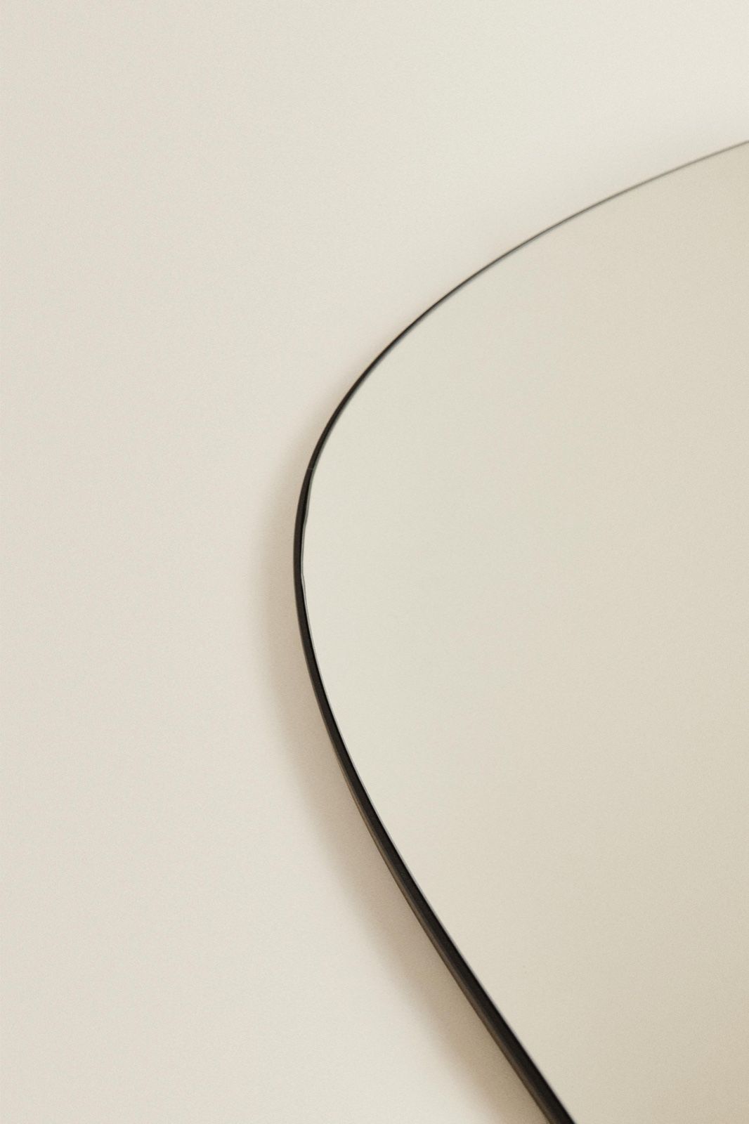 Cait Curved Edge Decorative Mirror